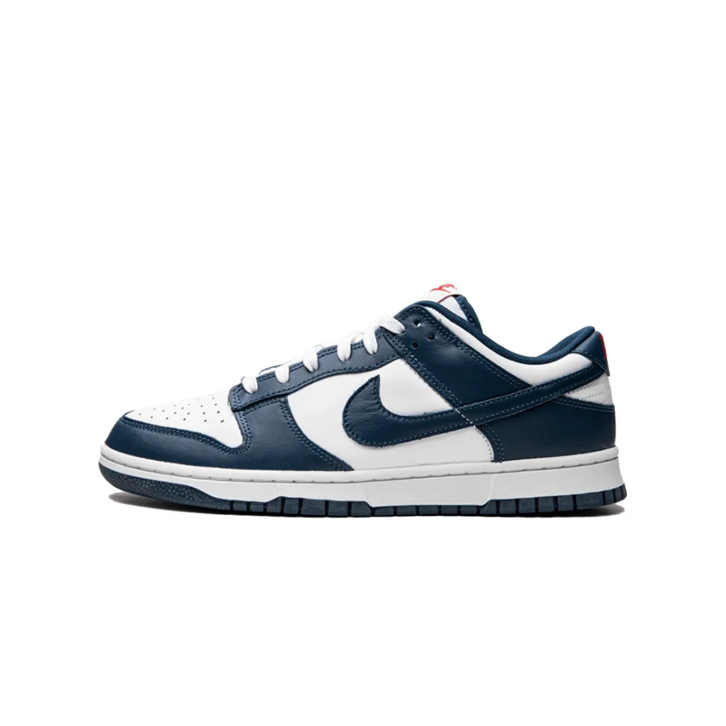 Nike Dunk Low Valerian Blue