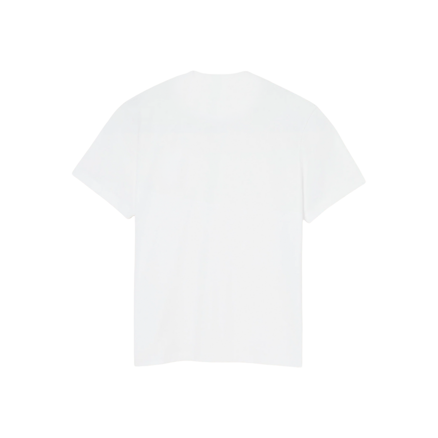 AMI PARIS Tonal De Coeur Tee Blanc (SS23)