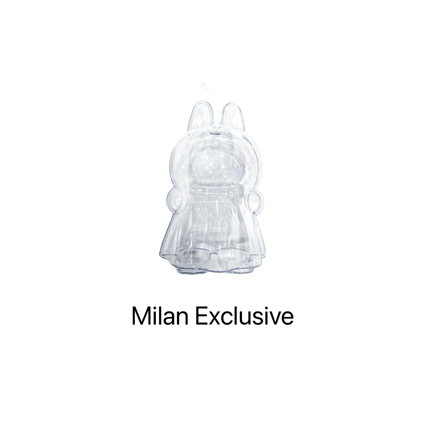 POP MART LABUBU THE MONSTERS - Transparent Acrylic Blind Box Protective Case
