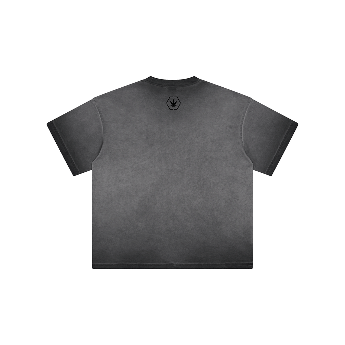 Stoned & Co ® Stoned Euphoria : Washed Tee Black (SS24)