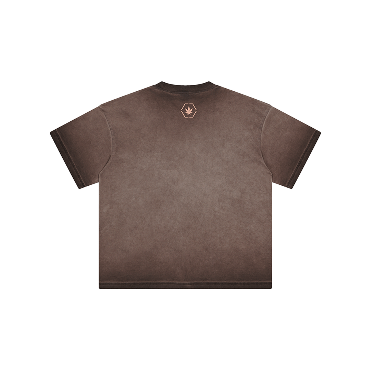 Stoned & Co ® Stoned Euphoria : Washed Tee Brown (SS24)
