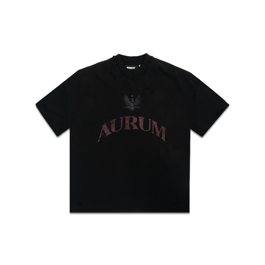 RAW/21 Crestline Oversized Tee Washed Black/Black (SS26)