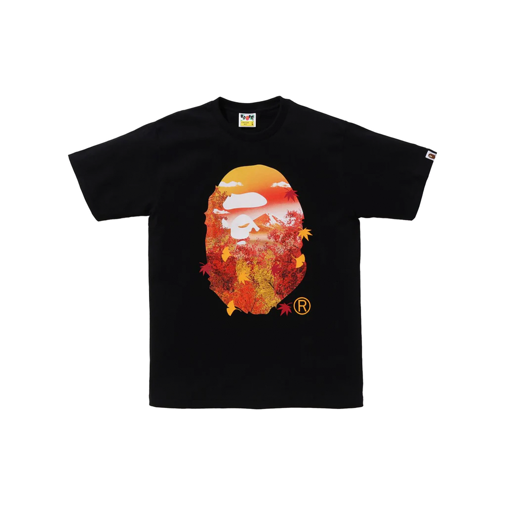 BAPE® Japan Autumn Photo Ape Head Tee Black (FW24)