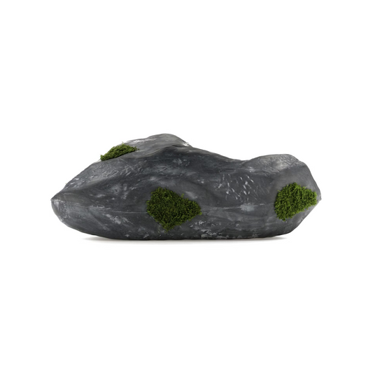 Bravest Studios Rock Shoe Canyaon Granite