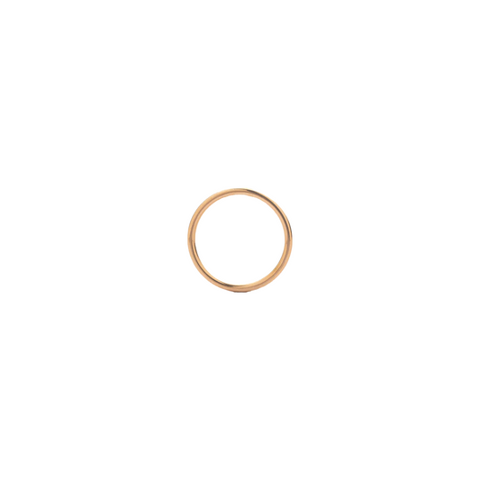 EK Collection Daily Titanium Ring Rose Gold