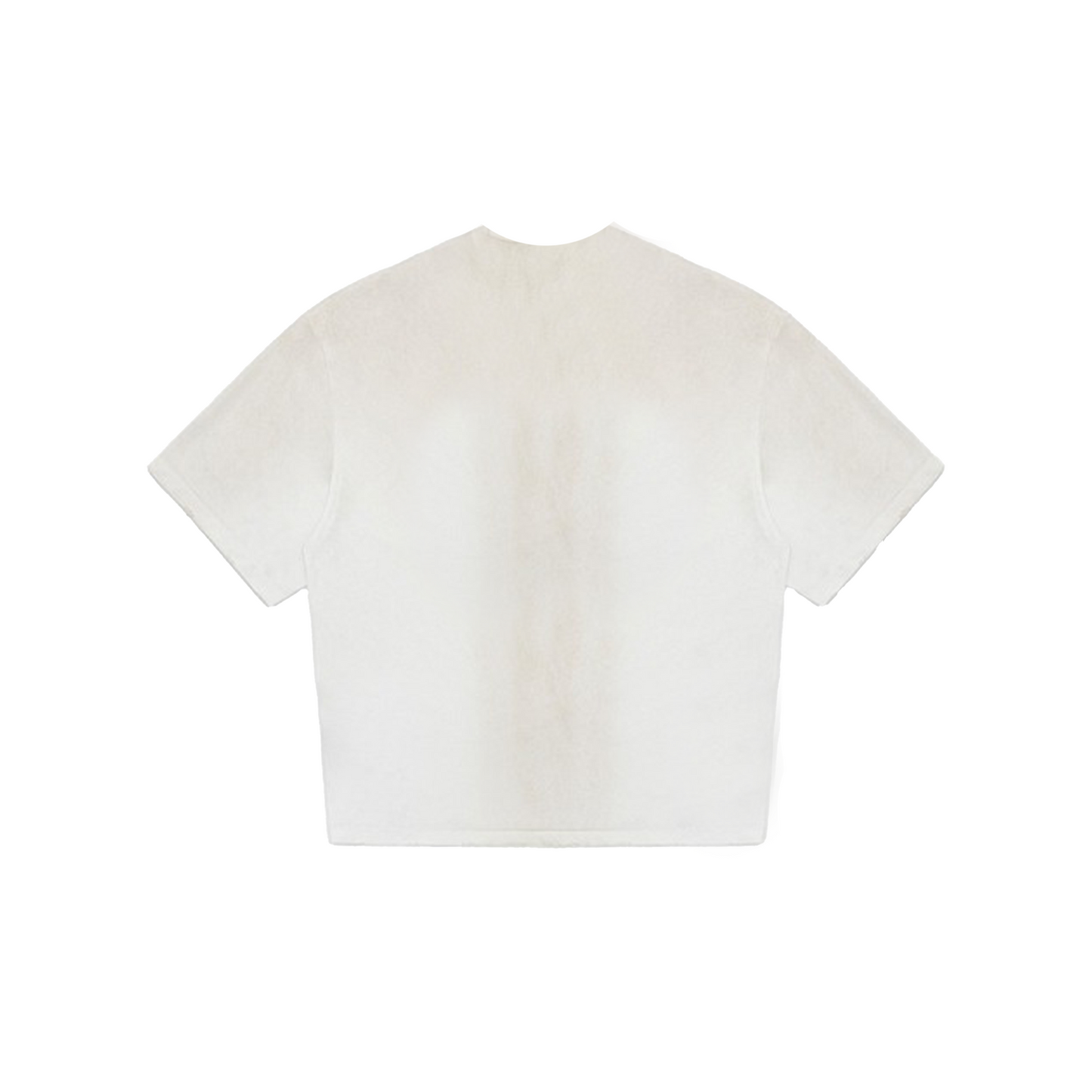 MASONPRINCE Dirty Sense of Destruction Sprayed Tee White (SS24)