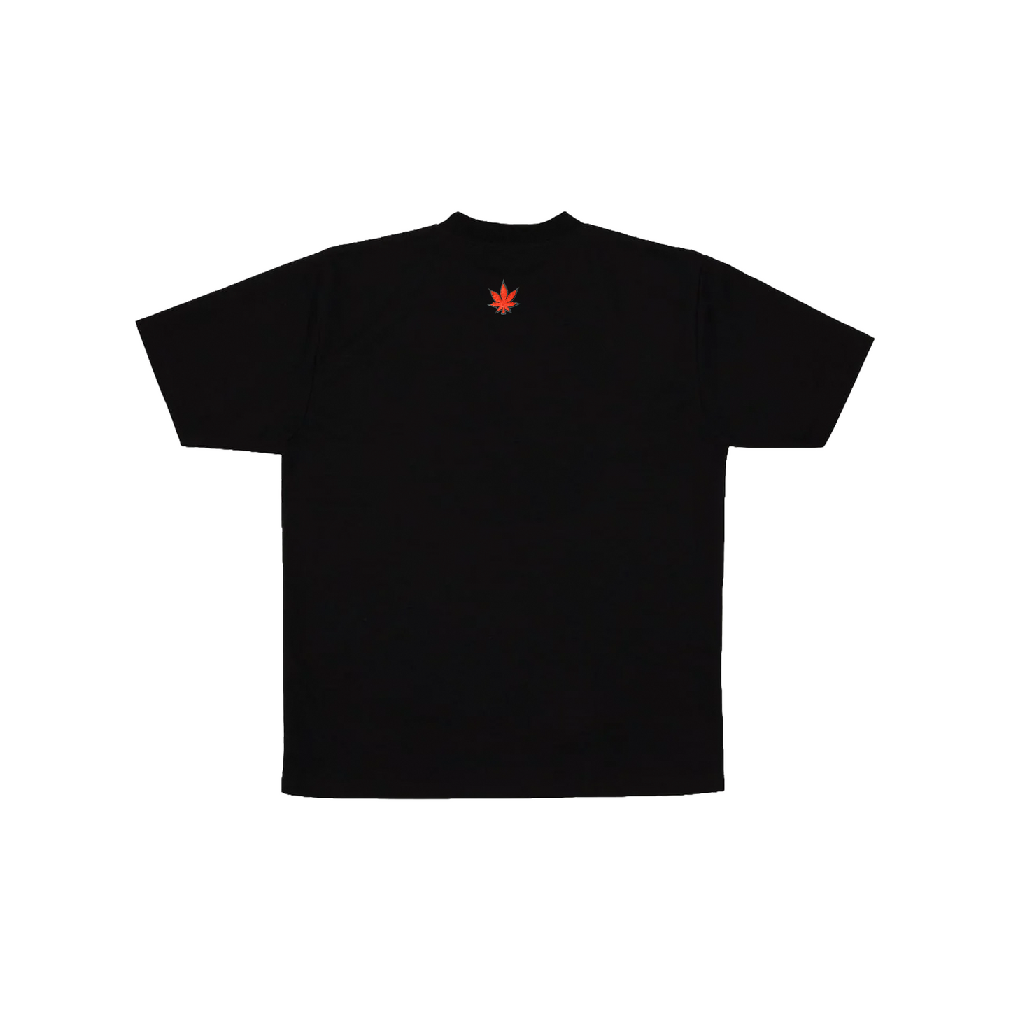 Stoned & Co ® WBB25 : Genetic Cloud Tee Black (SS25)