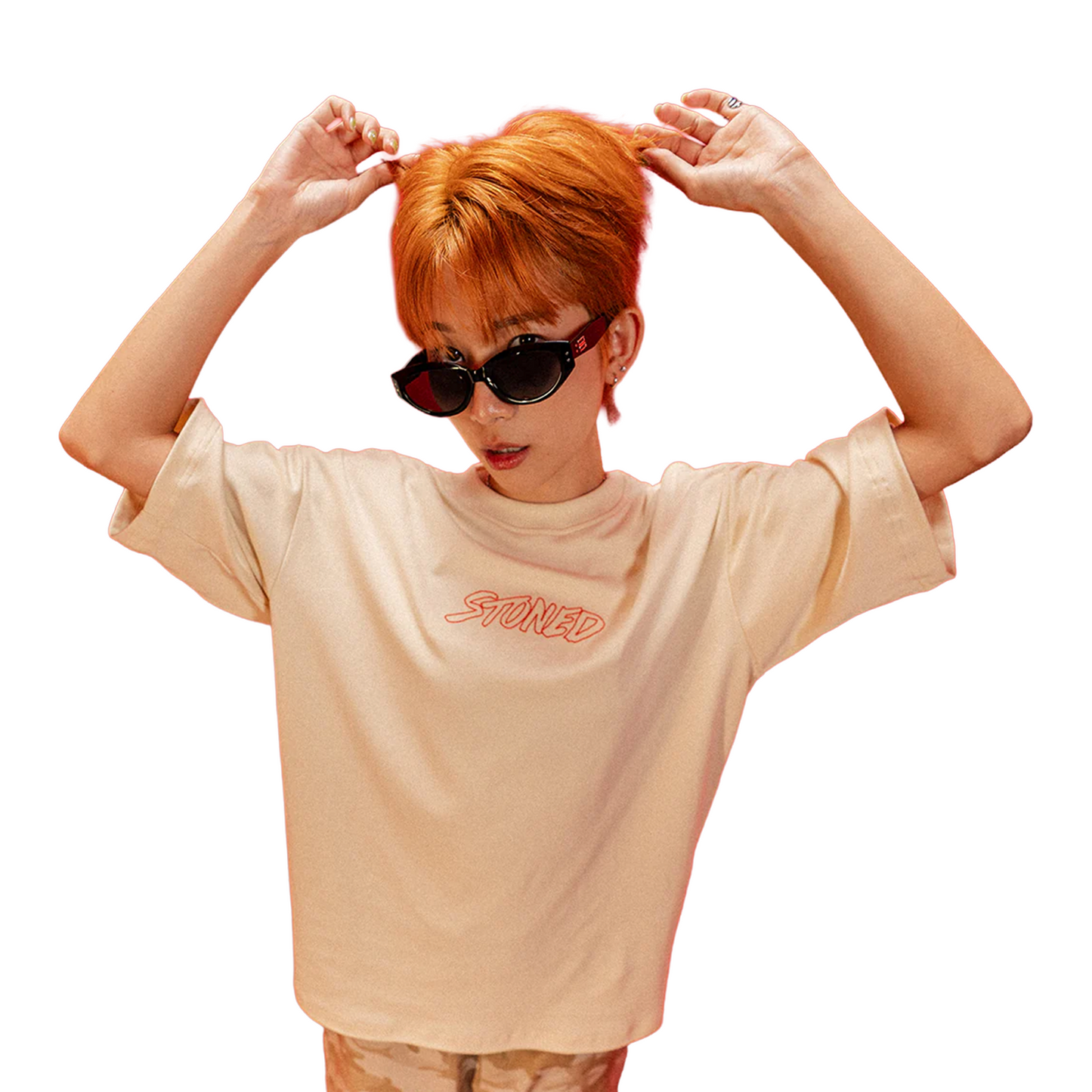 Stoned & Co ® Dark Horse : Twin Horses Tee Beige (SS26)