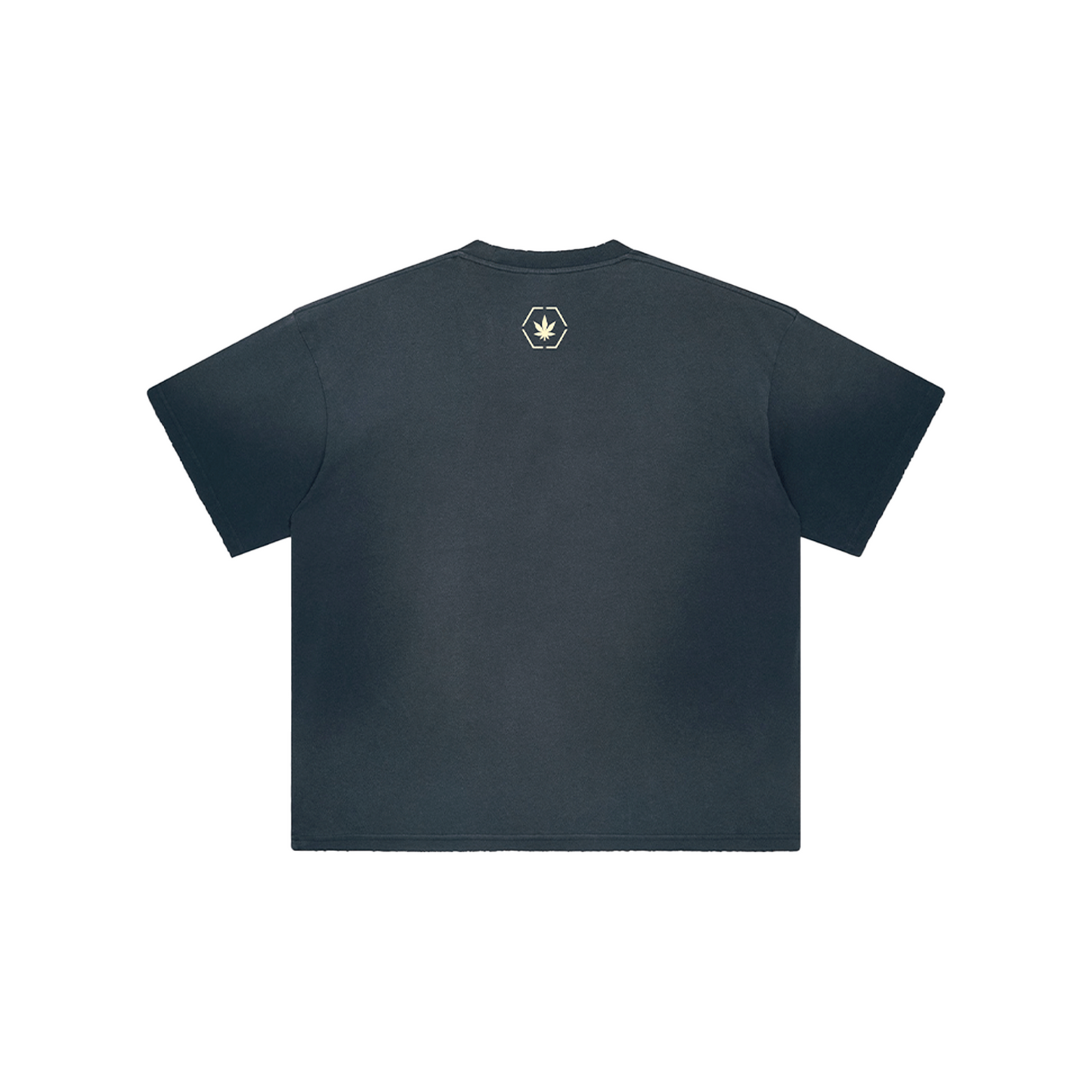 Stoned & Co ® Stoned Euphoria : Washed Tee Blue (SS24)